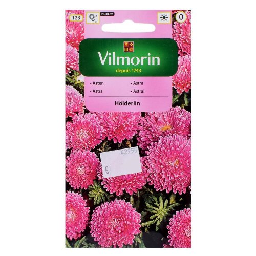 Astrovka čínska trpaslík holderin 0,5g