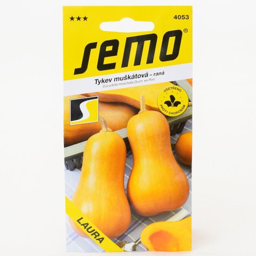 Tekvica laura - muškátová