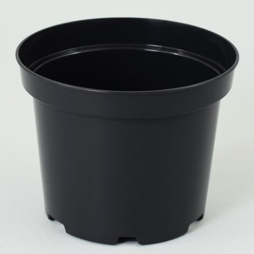 Kontajner 17cm, 2l sbx