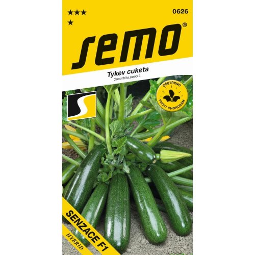 Tekvica senzace f1 1,5g - Vianočné dekorácie a ozdoby