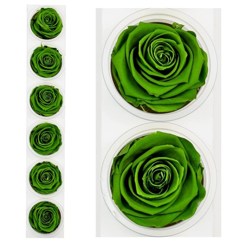 Ruža preparovaná 6,5cm emerald green /ks