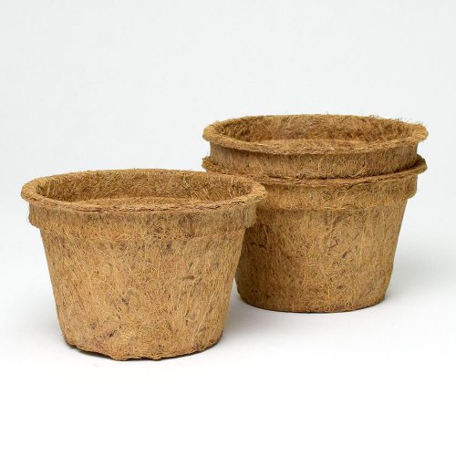 Sada kokos.sadbov.1l/3ks 15,5x10cm - Jesenné dekorácie