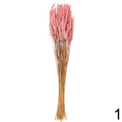 Celosia sušená mix farba/zv. - Veľkonočné ozdoby