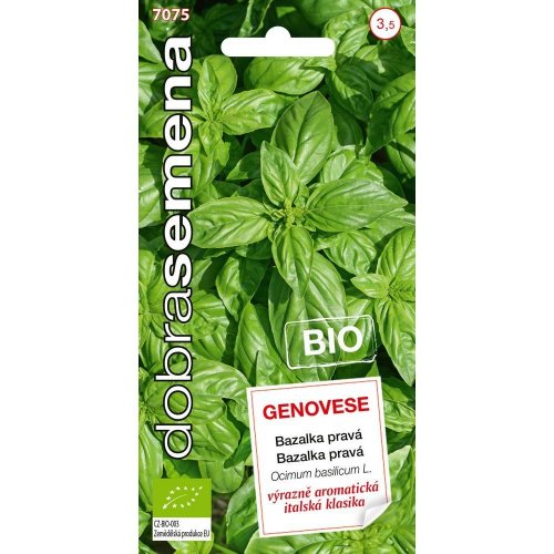 Bazalka pravá genovese bio 0,6g - Vianočné osvetlenie