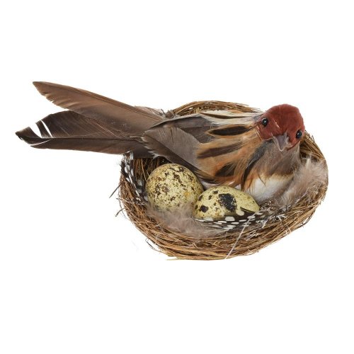 Vtáčik v hniezde 10cm