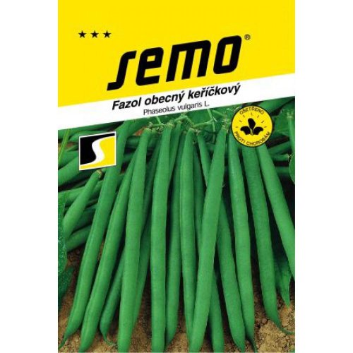 Fazuľa kríč zelená bona (bolero) 20g - Vianočné stromčeky