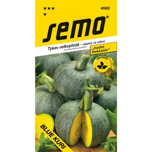 Tekvica blue kuri - modré hokkaido 7s.