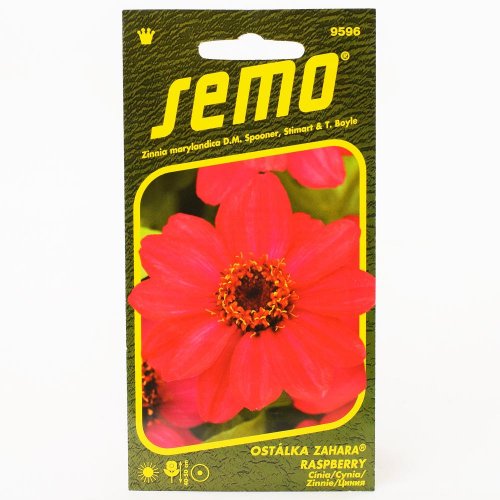 Cínia zahara raspberry 15s