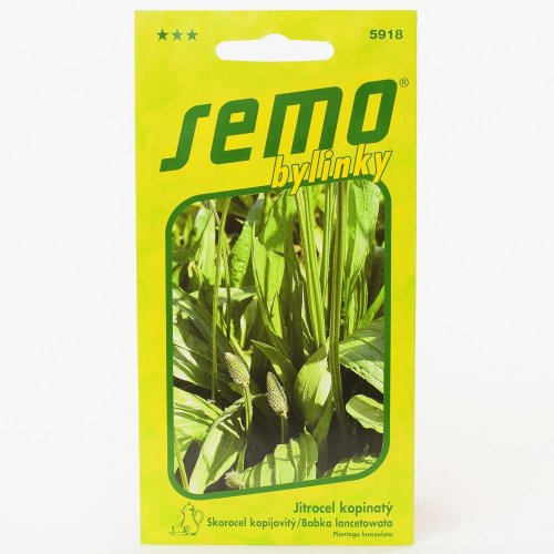 Skorocel kopijovitý 1g