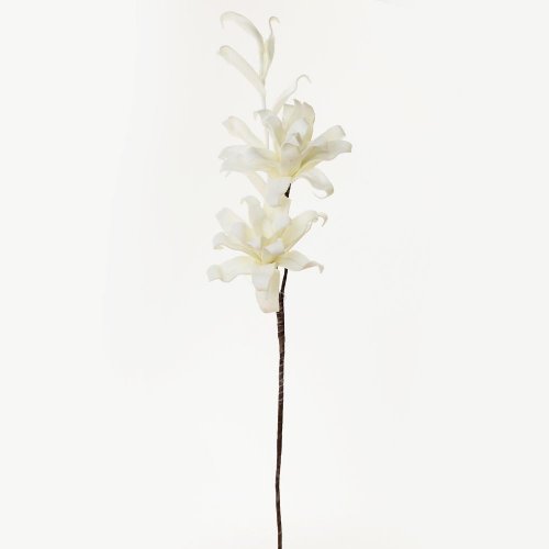 Ks kvet pena - biela 85cm super cena