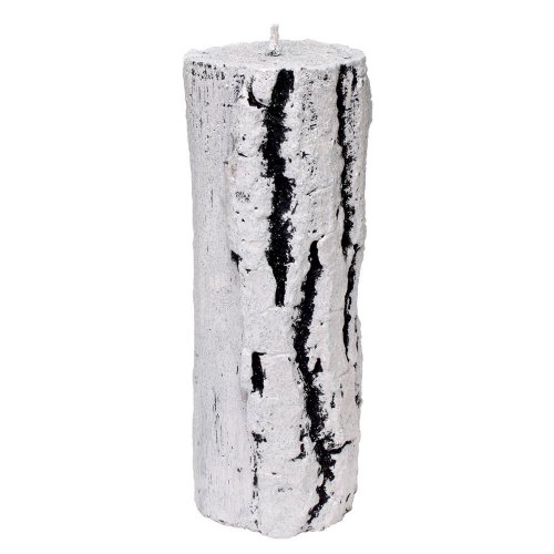 Peň val.stredný breza v20cm