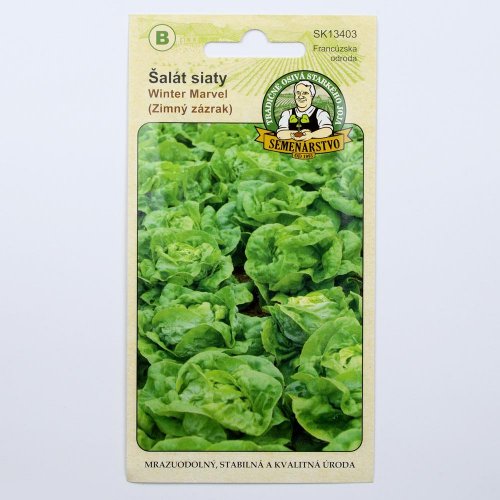 Šalát winter marvel zimný 1g