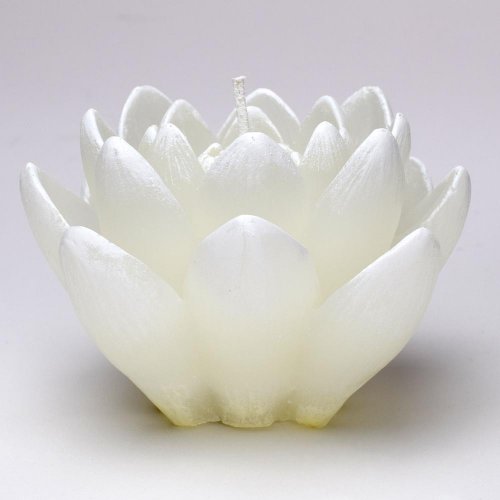 Ľalia dioda biela - Vianočné dekorácie a ozdoby