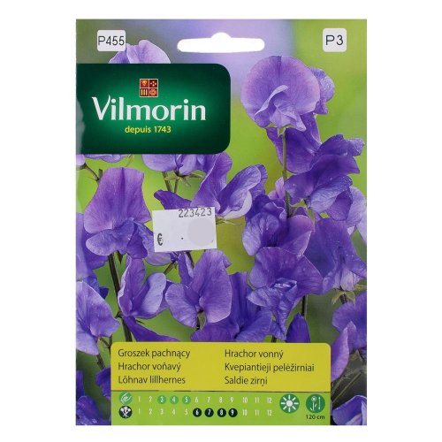 Hrachor voňavý modrý 2g - Vianočné dekorácie