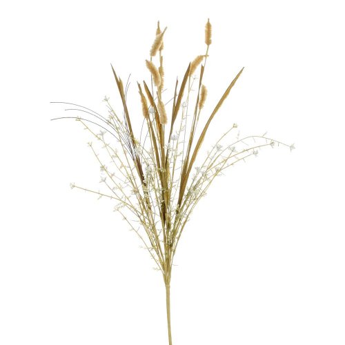 Zeleň setaria hnedá 60cm - Vianočné dekorácie