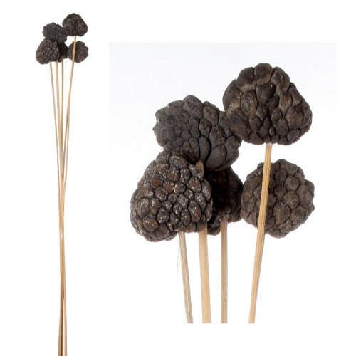 Ata fruit 5ks/bal - Veľkonočné ozdoby