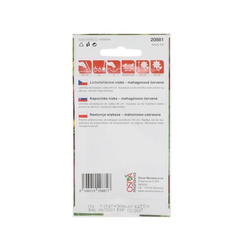 Kapucínka mahagónovo červená 10s - Vianočné dekorácie