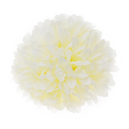 Hlava chryzantéma krémová 12cm