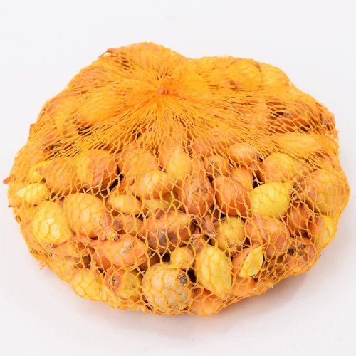 Cibuľa sad. všet.,setton 500g/40ks