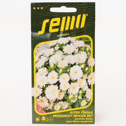 Astrovka čínska prúh. tr. biely 0,30g - Vianočné dekorácie a ozdoby