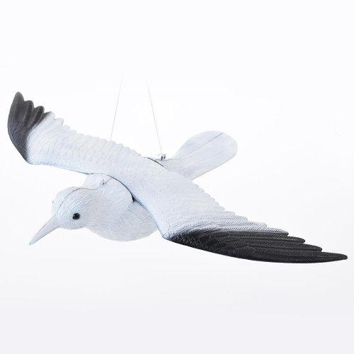 Plašič vták 58x41x11cm super cena