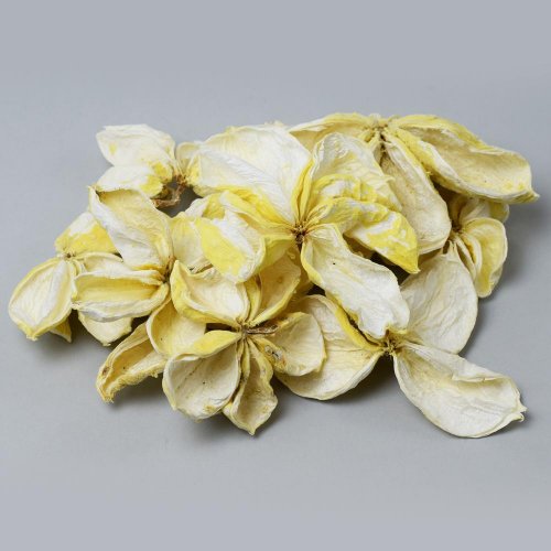 I092wpacz land lotos wyb. s/10