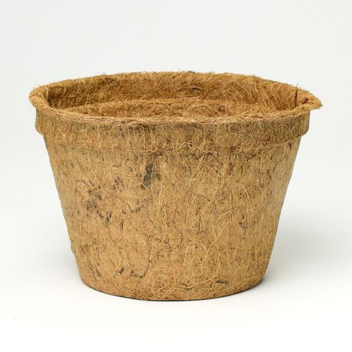 Kokos.sadbovač2000ml 19,5x12cm