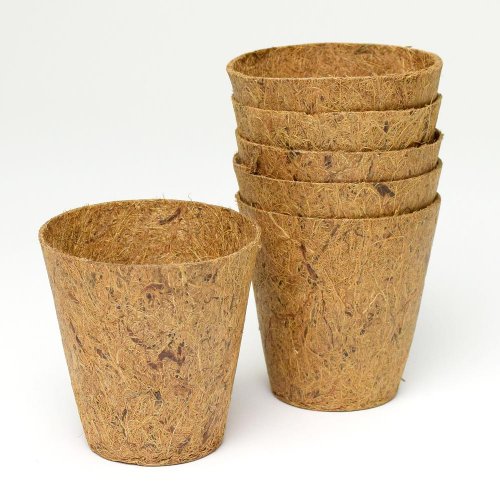 Sada kokos.sadbov 275ml/6ks 8x8cm - Umelé kvety