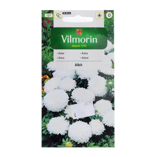 Astrovka čínska trpaslík albit 0,5g