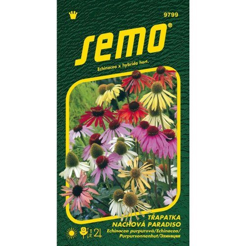 Echinacea purpurová paradiso 12s