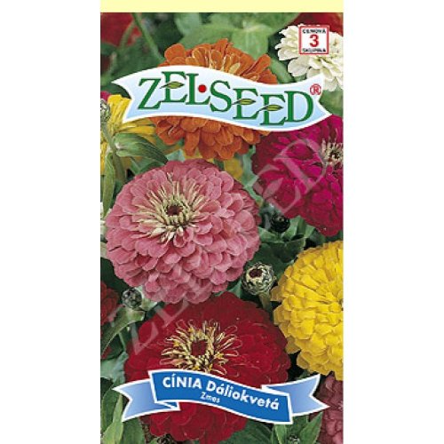 Cínia dáhliokv zmes 0,8g - Vianočné dekorácie