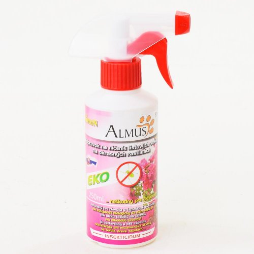 Champion almus 245ml r vošk - Umelé kvety