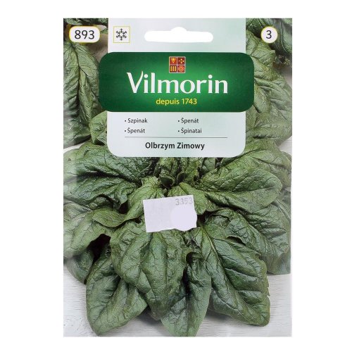 Špenát obrovský zimný 20g - Vianočné dekorácie