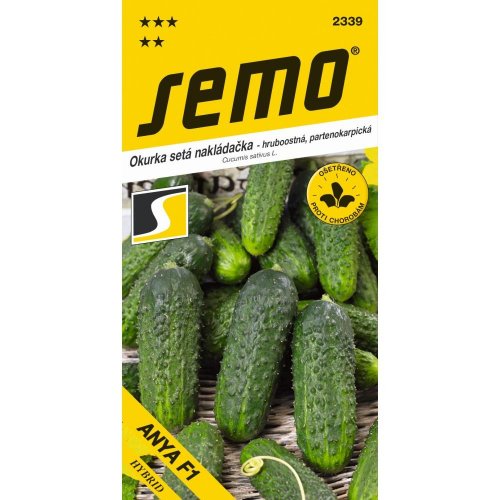 Uhorka nakladačka anya f1 (sm 5341 f1)