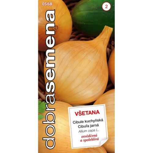 Cibuľa jarná žltá všetana 2g - Umelé kvety