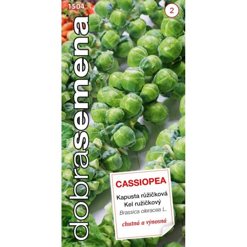 Kel ružičkový cassiopea 0,7g - Umelé kvety