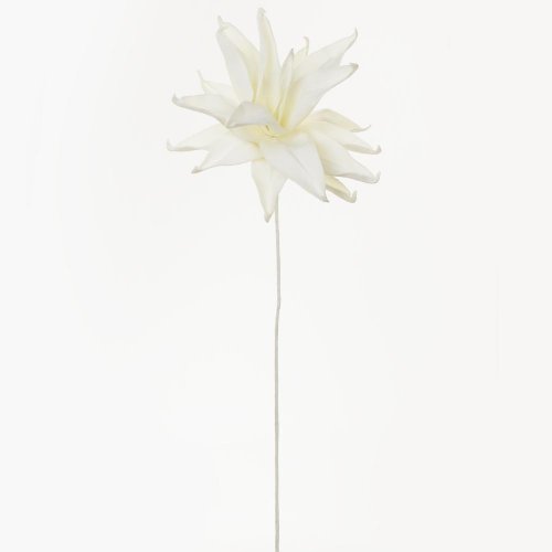 Ks kvet pena biela 95cm