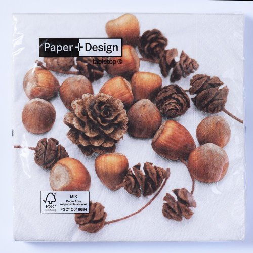 200734 servítky cones and nuts 33x33cm - Umelé kvety