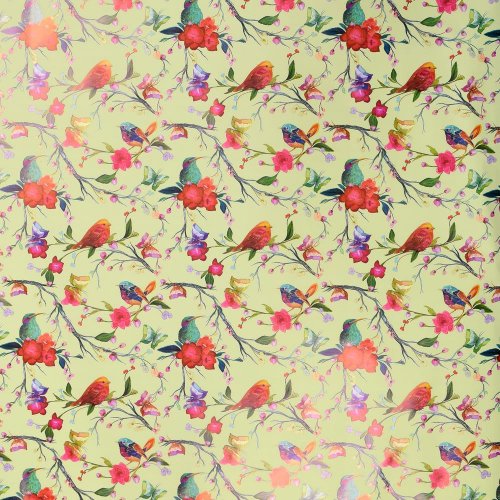 Fólia bird bobine  40my 0,80x40mt bird verde