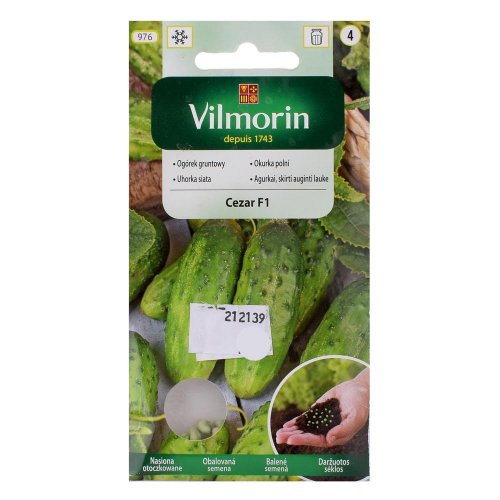 Uhorka nakl.cezar f1 50serm. 1,5g