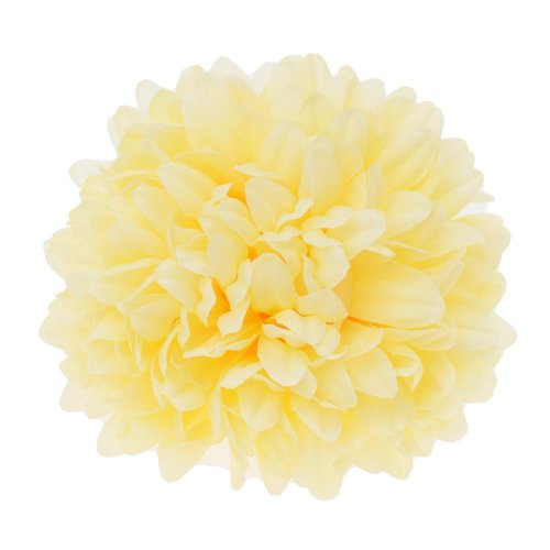 Hlava chryzantéma bledo-žltá 12cm