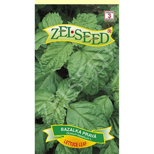 Bazalka lettuce leaf 0,9g