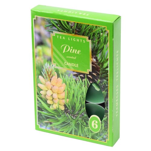 Čajové voňavé/6 sosna