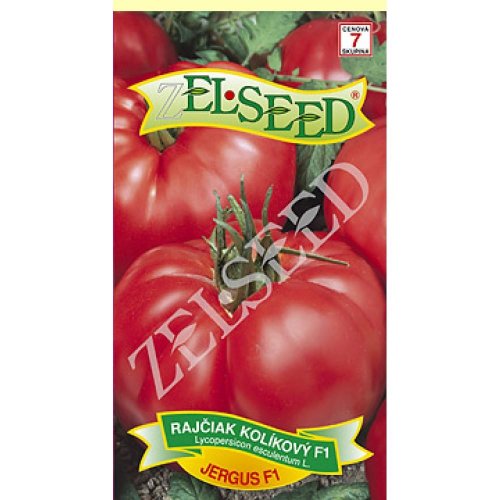 Rajčiny kol. jergus f1 0,2g - Vianočné dekorácie