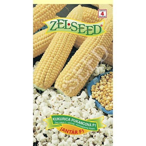 Kukurica puk. jantár f1 18g