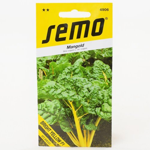 Mangold bright yellow f1