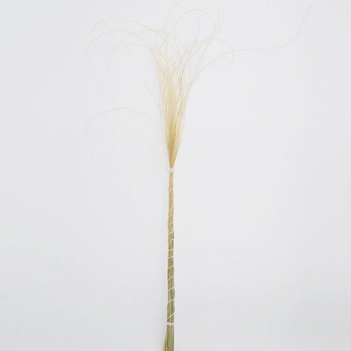 Stypha - pierko natural/zv