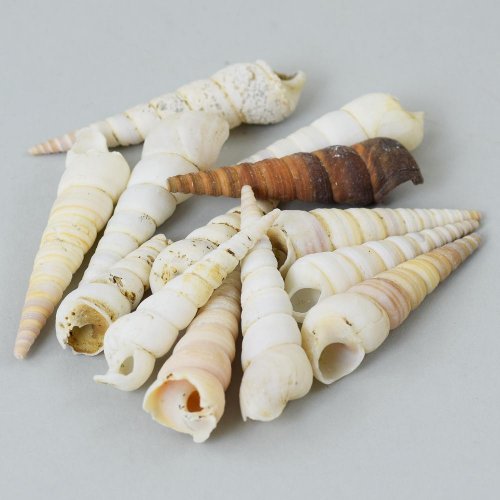 Ulita bag super cena