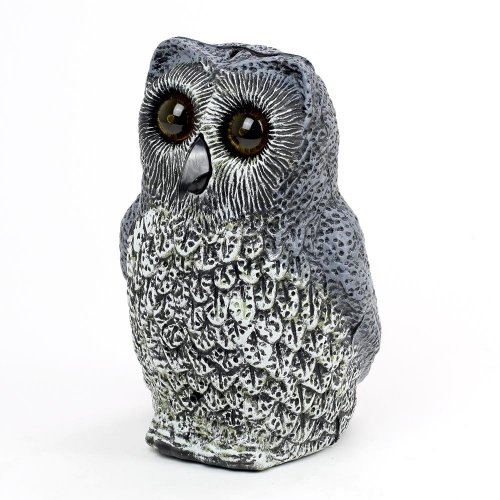 Sova plast zvuk svetlo 25c m super cena - Umelé kvety