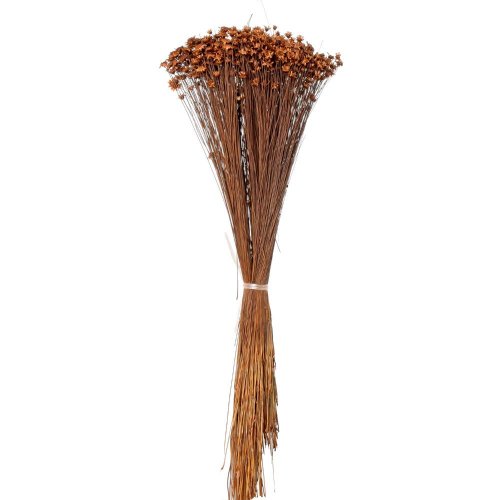 Glixia 50g, hnedá/zv